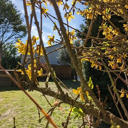 Charmante Maison A Avec Piscine Partagee Semesterbostad Meschers-sur-Gironde