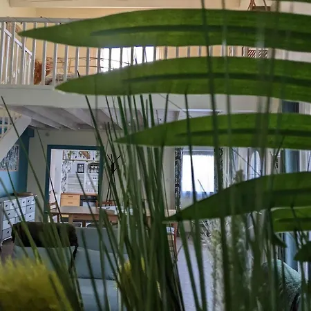Charmante Maison A Avec Piscine Partagee Semesterbostad Meschers-sur-Gironde